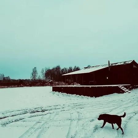 Drewniana Ostoja, Jacuzzi, Sauna, Basen - Na Wylacznosc